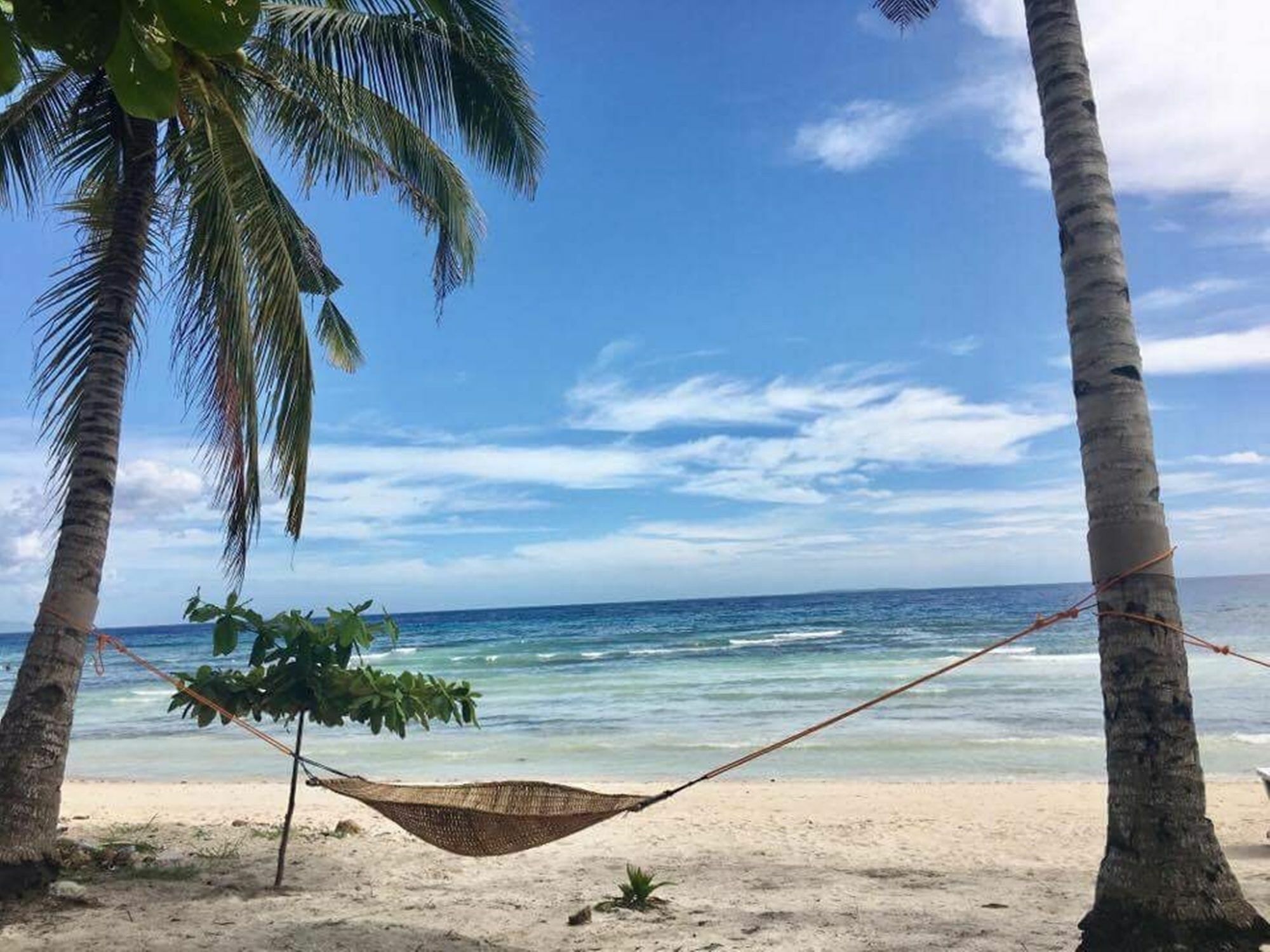 The Whitehouse By The Sea Villa Panglao Kültér fotó